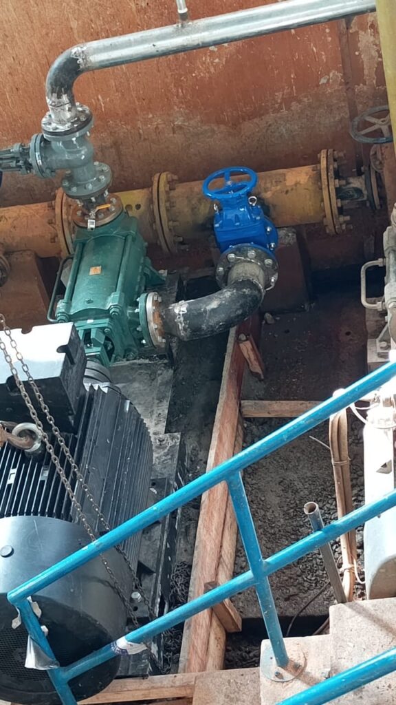 Picture 1