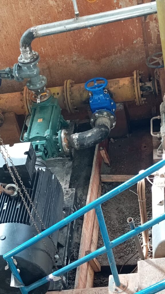 Picture 2